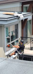 WhatsApp Image 2024-01-01 at 11.24.18 PM (1)