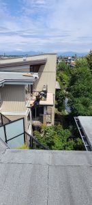 WhatsApp Image 2024-01-01 at 11.24.18 PM (2)