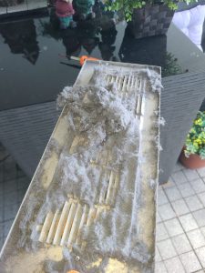 WhatsApp Image 2024-04-30 at 4.42.58 AM (6)