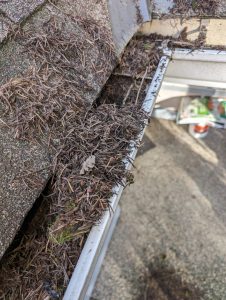 WhatsApp Image 2024-04-30 at 4.42.59 AM (11)