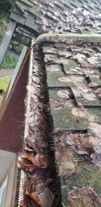 WhatsApp Image 2024-04-30 at 4.42.59 AM (16)