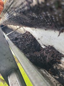 WhatsApp Image 2024-04-30 at 4.42.59 AM (19)