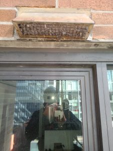 WhatsApp Image 2024-04-30 at 4.42.59 AM (3)