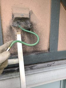 WhatsApp Image 2024-04-30 at 4.42.59 AM (4)