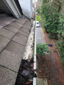 WhatsApp Image 2024-04-30 at 4.42.59 AM (9)