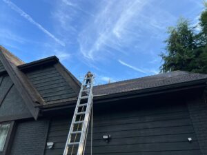 Gutter and Roof Cleaning (1)