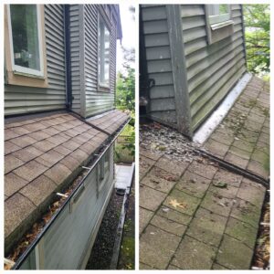 Gutter and Roof Cleaning (2)