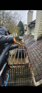 Gutter and Roof Cleaning (3)