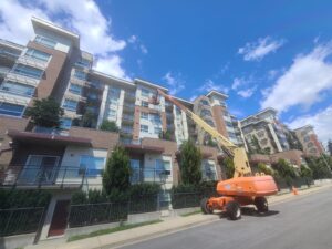 soft and pressure washing (22)