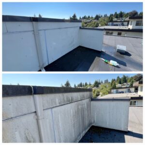 soft and pressure washing (3)