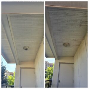 soft and pressure washing (5)2