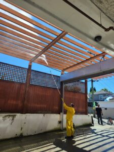 soft and pressure washing (7)