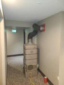 WhatsApp Image 2024-11-08 at 12.12.38 AM